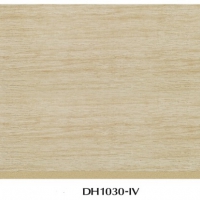 DH1030-IV