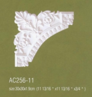 AC256-11